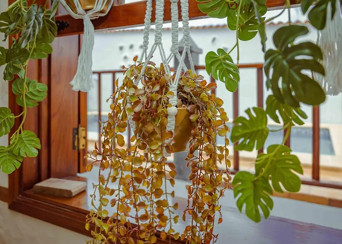 Vakantiehuis Casa Justina Garachico (Tenerife)