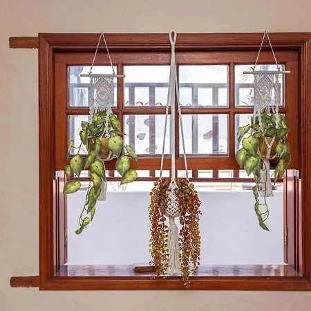 Dom wakacyjny Casa Justina Garachico (Tenerife)