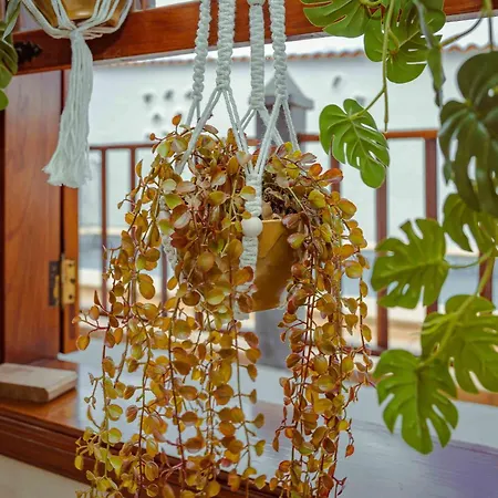 Semesterbostad Casa Justina Garachico (Tenerife)